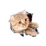 Etiqueta engomada estéreo del coche del gato 3D Rasguños del cuerpo del coche y etiquetas engomadas de la oclusión, Style 3 Large