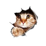 Etiqueta engomada estéreo del coche del gato 3D Rasguños del cuerpo del coche y etiquetas engomadas de la oclusión, Style 4 Large