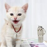 10 PCS PET DOY ANTI-PIDIDA COLLAR PENDIENTE