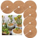 6 PCS / Set Plant Root Anticongelante Maceta Palma de coco Tapete plano, Tamaño:, 20cm