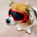 Gafas de sol para perros con montura blanda Anti-UV para mascotas, Rojo, Negro - Imagen 3