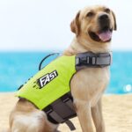 Traje de baño con chaleco salvavidas para perros con estampado reflectante, M