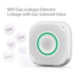 TY-GSA-87 Detector de gas WIFI para el hogar inteligente, EU Plug - Imagen 4