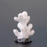 10 PCS Simulación Resina Coral Acuario Pecera Pequeños Adornos, No. 5 White