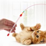 Palo para gato divertido de alambre con juguete para gato con campana, estilo: pluma, Feather - Imagen 7