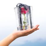 Caja de regalo de acrílico transparente cuadrada Caja de flores, 1 Hole - Imagen 4