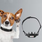 Dispositivo antiladridos inteligente Collar de adiestrador de perros, estilo:, Vibration+Electric Shock+Sound, Vibration+Sound