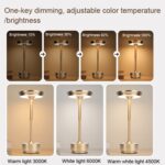 Lámpara de escritorio recargable Lámpara de escritorio extraíble Bar Atmósfera Luz nocturna, Oro, Plata, Negro - Imagen 4