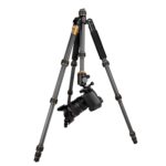 Trípode de fibra de carbono QingZhuangShiDai Q666C portátil para fotografía de viaje con rótula de bola para cámara SLR, Q666C(Black)