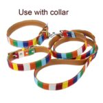 Lona + correa de perro de tira colorida de PU, Leash S 1.5 x 120cm - Imagen 3