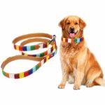Lona + correa de perro de tira colorida de PU, Leash  M 2.0 x 120cm
