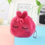Monedero tridimensional de la llave de la felpa de la historieta de los niños 2pcs, Shy Rabbit