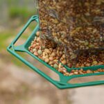 Comedero para pájaros plegable para colgar al aire libre, jaula para pájaros resistente al sol y a las heladas - Imagen 6