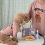 2 uds lindo cálido suéter de lana para mascotas oso de peluche gato ropa, L - Imagen 4