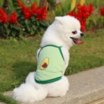 2 uds tirantes chalecos malla transpirable ropa para mascotas, XS