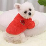 2 uds perros mantener caliente dos pies ropa Bipanda gato ropa, S