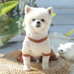 Mascota pareja tocando fondo camisa gato perro ropa, XL - Imagen 4