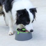 Tarjeta multifuncional Jaula para perros Placa para lamer Ventosa Alimentador para perros, Bowl+Disc