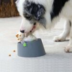 Tarjeta multifuncional Jaula para perros Placa para lamer Ventosa Alimentador para perros, Bowl+Ball