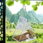 Jaula de acrílico para pájaros, caja transparente para mascotas, comedero triangular para pájaros - Imagen 2