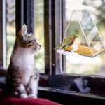 Jaula de acrílico para pájaros, caja transparente para mascotas, comedero triangular para pájaros - Imagen 3