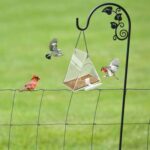 Jaula de acrílico para pájaros, caja transparente para mascotas, comedero triangular para pájaros - Imagen 5