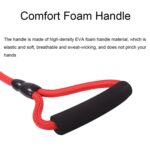 Sh36 Cuerda de escalada en roca Correa para mascotas Cuerda de seguimiento de entrenamiento de perros audaz y larga, 10m - Imagen 6