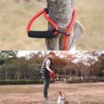 Sh36 Cuerda de escalada en roca Correa para mascotas Cuerda de seguimiento de entrenamiento de perros audaz y larga, 10m - Imagen 9