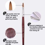 Pincel Kolinsky para uñas con mango de madera roja, No. 16 - Imagen 5