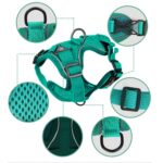 Arnés de chaleco para mascotas + Juego de cuerdas de tracción Arnés reflectante transpirable para perros y gatos, M - Imagen 5