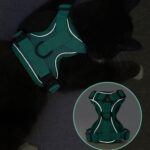 Arnés de chaleco para mascotas + Juego de cuerdas de tracción Arnés reflectante transpirable para perros y gatos, M - Imagen 6