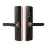 C91 Tuya Smart WiFi Contraseña Cerradura electrónica con huella digital, C91 Bronze