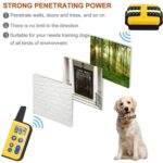 Collar para mascotas con vibración y descarga eléctrica, entrenador para perros con Control remoto de 800m, Stop Barker - Imagen 8