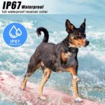 Collar de vibración impermeable con Control remoto inteligente para entrenador de perros Stop Barker, 669N-1 - Imagen 9