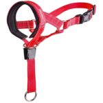 Correa antimordeduras para mascotas Riot Rush Pull Dog Leash, XL
