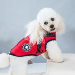 Ropa para perros Pecho Espalda Abrigo de invierno todo en uno Chaleco de algodón engrosado, XL