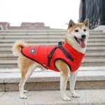 Ropa para perros Pecho Espalda Abrigo de invierno todo en uno Chaleco de algodón engrosado, S - Imagen 4