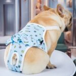 Pantalones menstruales para perros Pantalones sanitarios lavables menstruales antiacoso, S