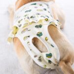 Pantalones menstruales para perros Pantalones sanitarios lavables menstruales antiacoso, M - Imagen 5