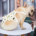 Pantalones menstruales para perros Pantalones sanitarios lavables menstruales antiacoso, M - Imagen 6