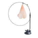 Ventosa Divertida Varita Para Gato Juguete Gato Jugando Polo, Feather Set Pink
