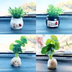 Mini Coche Adornos En Maceta Decoración Macetas De Flores Simuladas, Lucky Fruit Black Bottle - Imagen 2