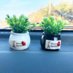 Mini Coche Adornos En Maceta Decoración Macetas De Flores Simuladas, Lucky Fruit Black Bottle - Imagen 5