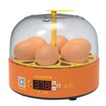 Incubadoras de pollos inteligentes para niños, experimentos domésticos pequeños, 6 huevos, Manual UK Plug