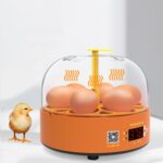 Incubadoras de pollos inteligentes para niños, experimentos domésticos pequeños, 6 huevos, Manual US Plug - Imagen 2