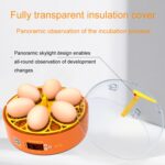 Incubadoras de pollos inteligentes para niños, experimentos domésticos pequeños, 6 huevos, Manual EU Plug - Imagen 6