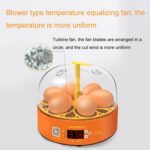 Incubadoras de pollos inteligentes para niños, experimentos domésticos pequeños, 6 huevos, Manual UK Plug - Imagen 7