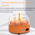 Incubadoras de pollos inteligentes para niños, experimentos domésticos pequeños, 6 huevos, Dual-electric Automatic UK Plug - Imagen 8