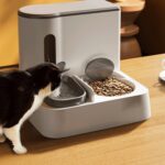 Tazón de comida para mascotas, bebedero para perros, dispensador de agua móvil para gatos, alimentador de agua de alimentación automática, Basic Green - Imagen 2