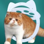 Puerta mosquitera para mascotas, acceso bidireccional, cierre magnético, puerta para gatos, productos para mascotas - Imagen 10